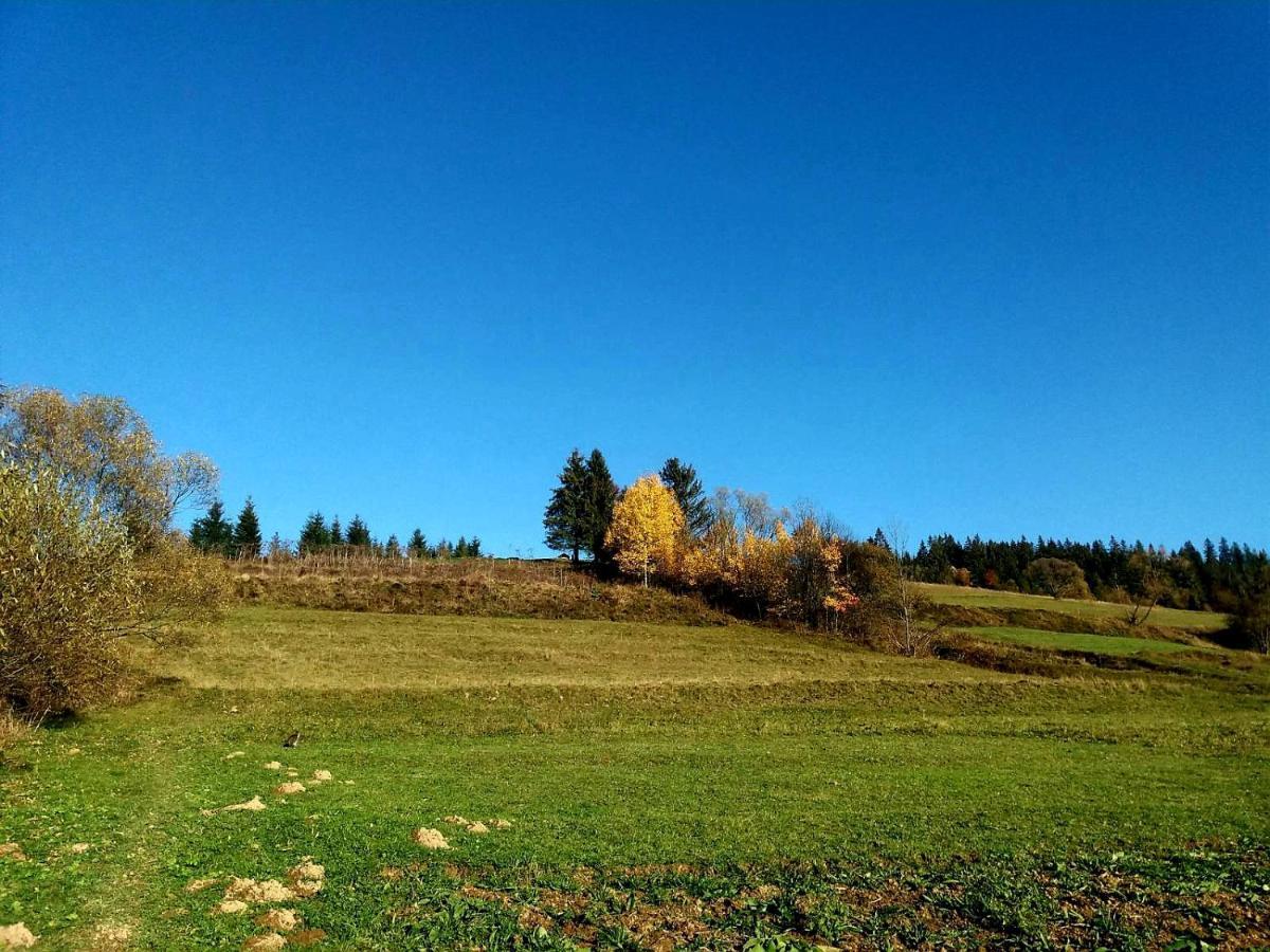 Gostynna Rodyna Hotel Iszka Kültér fotó