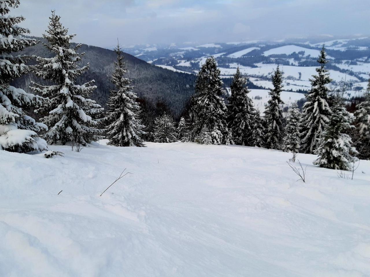 Gostynna Rodyna Hotel Iszka Kültér fotó